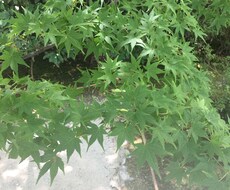話を聞いてほしい‥あなたの気持ちに寄り添います イメージ1