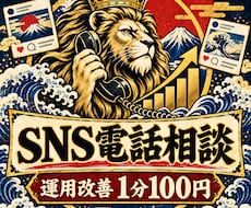 SNS運用の悩みを電話で整理し改善策を提案します イメージ1