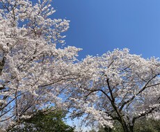 電話でお話します イメージ1