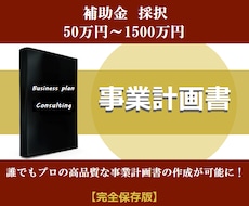 補助金・融資で結果を出す事業計画書が作成できます 【期間限定・数量限定】プロ仕様の事業計画書を実感ください！