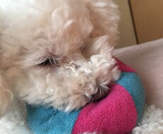 恋愛、人間関係等の相談のります イメージ1