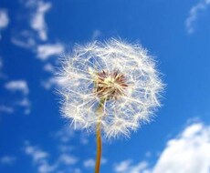 効果大◆１個1000円！ブロック解放します 本当の自分に繋がり、心軽やかに歩み夢を叶えるお手伝いします！