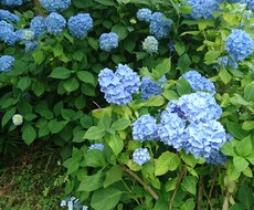 あなたの心の悩みをお聞きます イメージ1
