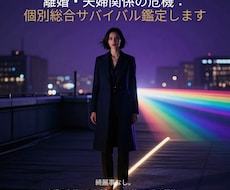 離婚・夫婦関係の危機：個別総合サバイバル鑑定します 綺麗事なし。夫婦の危機から人生を新しく始める生存戦略。