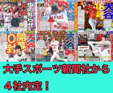スポーツ業界(特にスポーツ新聞)の就活相談乗ります イメージ1