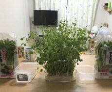 家庭とマネープランの相談に乗ります イメージ1