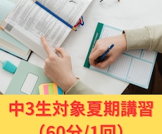 中学3年生の夏期講習を指導します 中学3年生/模試対策/全教科対応