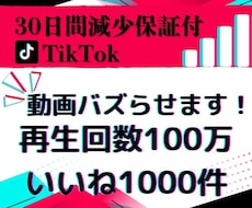 TikTokの再生回数【100万回】増やします 1000+いいね付き・リアルユーザー・動画バズらせます！