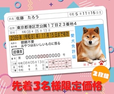 本物そっくり！ペットのオリジナル免許証を作ります 嬉しい2枚セット！丈夫なプラスチック製オリジナルペット免許証