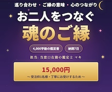 ソウルメイトと魂の縁を4000字の鑑定書で視ます イメージ1