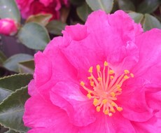 写真代行します！ イメージ1