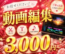YouTube・ショート動画を丁寧に編集します イメージ1
