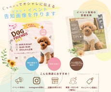目を引くSNS・イベント告知画像を作ります イメージ1