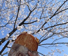 4児の母があなたの育児の悩みを聞きます イメージ1