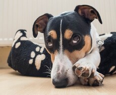 ブラック企業で働いてうつ病になった俺の悩み相談室！