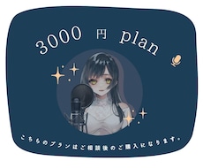 3000円でのご提供のプランになります 千歳とのご相談後のプランになります。