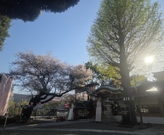 様々なお悩みに合わせて最適なアドバイスを行います イメージ1