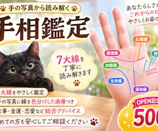 手の写真から7大線をやさしく鑑定します イメージ1