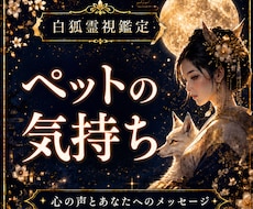 大切なペットの気持ちと本音を霊視で読み解きます イメージ1