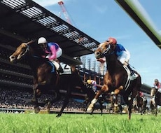 馬連4頭BOX(6通り)で予想をご提案します イメージ1