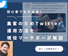 上級SNSマネージャーがTwitter運用教えます 初心者でも安心！Twitter運用スキルが身につく！