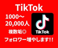 TikTokフォロワーを格安で増やします TikTokフォロワー3500〜(複数垢OK)