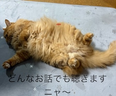 心と体の健康相談を承ります イメージ1