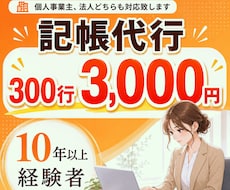 300仕訳まで3,000円で承ります イメージ1