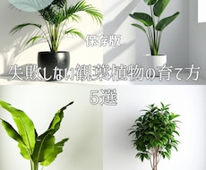 Instagramの投稿・図解画像を制作します イメージ1