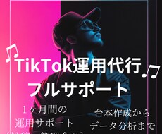 TikTok運用フルサポートします イメージ1