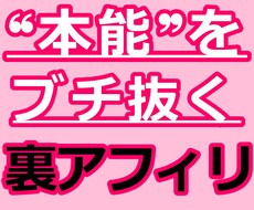 ド素人が巣ごもり中に稼いだ集客不要アフィリ教えます 成果の出ない❝コツコツ❞も稼げない『裏技』もウンザリな人へ