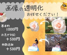写真、画像の背景白抜き・透明化いたします イメージ1