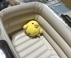 発達障害について執筆します イメージ1