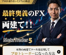 最終奥義のFX 両建て!!トレードお教えします イメージ1
