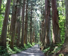 悩み事相談にのります イメージ1