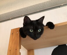何でもお話聞きます イメージ1