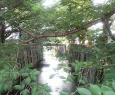 今のお悩みに対して各部屋のお部屋アドバイスします 部屋の模様替えなどで風水を利用して開運したいあなたへ