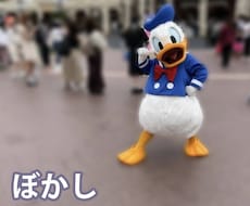 動画背景にぼかし、モザイク処理入れます 背景全体にぼかしやモザイク処理いたします