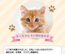 思わず手に取りたくなる犬猫の里親募集チラシ作ります 動物のイメージに合わせてデザイン変更可能です！