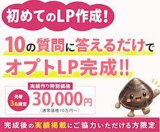 3万円のオプトLPを最短5日で納品します イメージ1