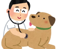 現役獣医師があなたのペットについてアドバイスします イメージ1