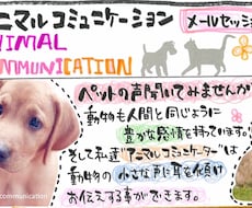 ペットちゃんとお話します ペットの気持ちが知りたいあなたへ
