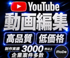 高品質・丸投げ◎ YouTube動画を編集します イメージ1