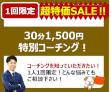 超特価！1人1回の特別コーチングをします イメージ1