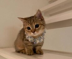 愚痴聞きます イメージ1