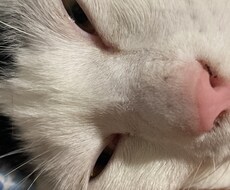 全ての愚痴や悩み、あなたを交代します イメージ1