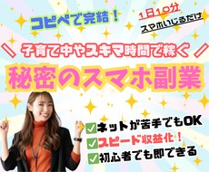 放置で継続収益！副業の仕組みをお渡しします そろそろノウハウコレクターを辞めませんか？