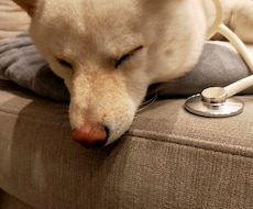 眠れなくて不安な方、眠りにつくまでお話します。ます イメージ1