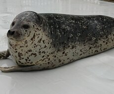 今日のできごと何でも聞きます イメージ1