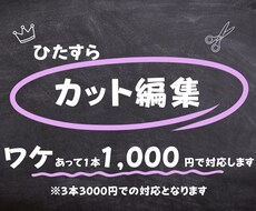 3本で3000円。動画の無音部分をカット編集します イメージ1